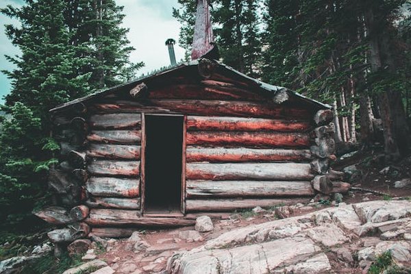 Est-il possible de louer une cabane en forêt en Finlande avec des ateliers de sculpture sur glace et observation des aurores boréales?